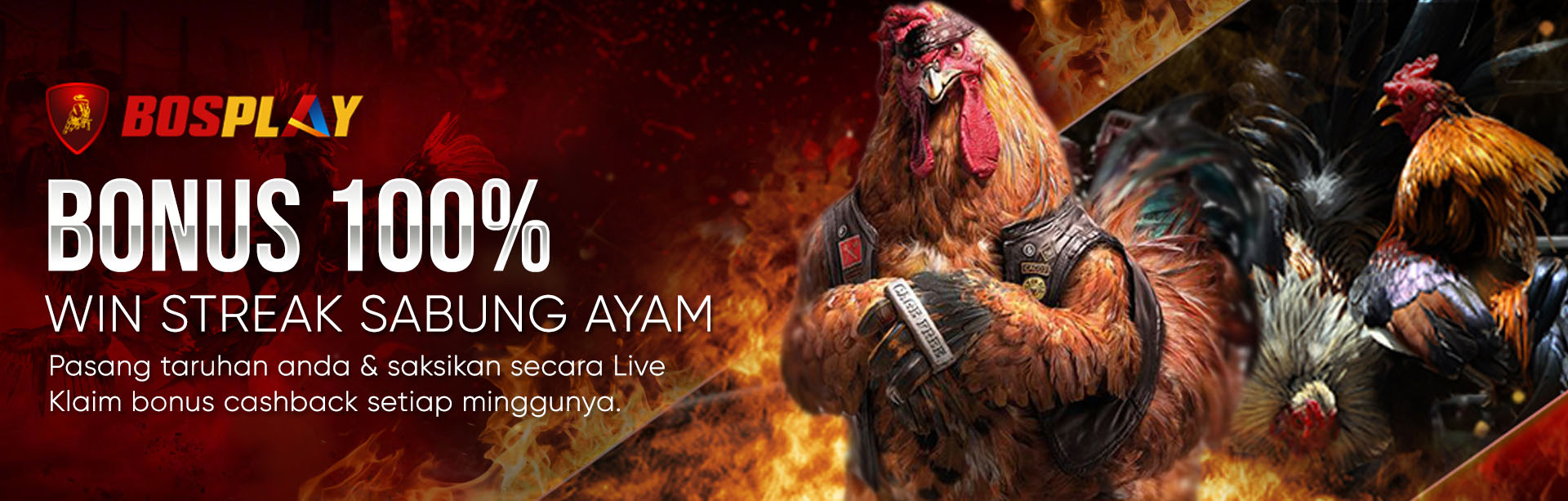 BOSPLAY AGEN CLUB388 SABUNG AYAM ONLINE TERPERCAYA