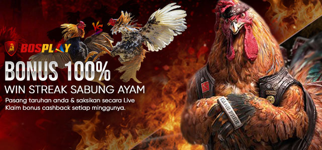 BOSPLAY AGEN CLUB388 SABUNG AYAM ONLINE TERPERCAYA